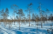 Maaliskuu eramaa(MA).jpg